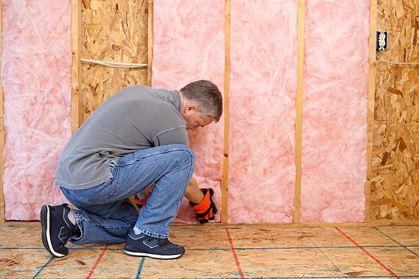 Best Insulation Maintenance and Repair in Lenexa, KS