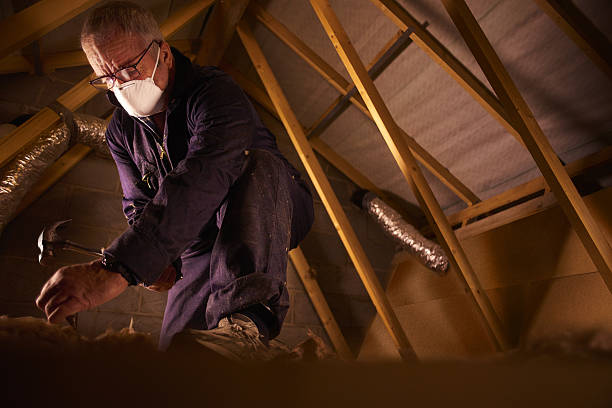 Best Commercial Insulation in Lenexa, KS